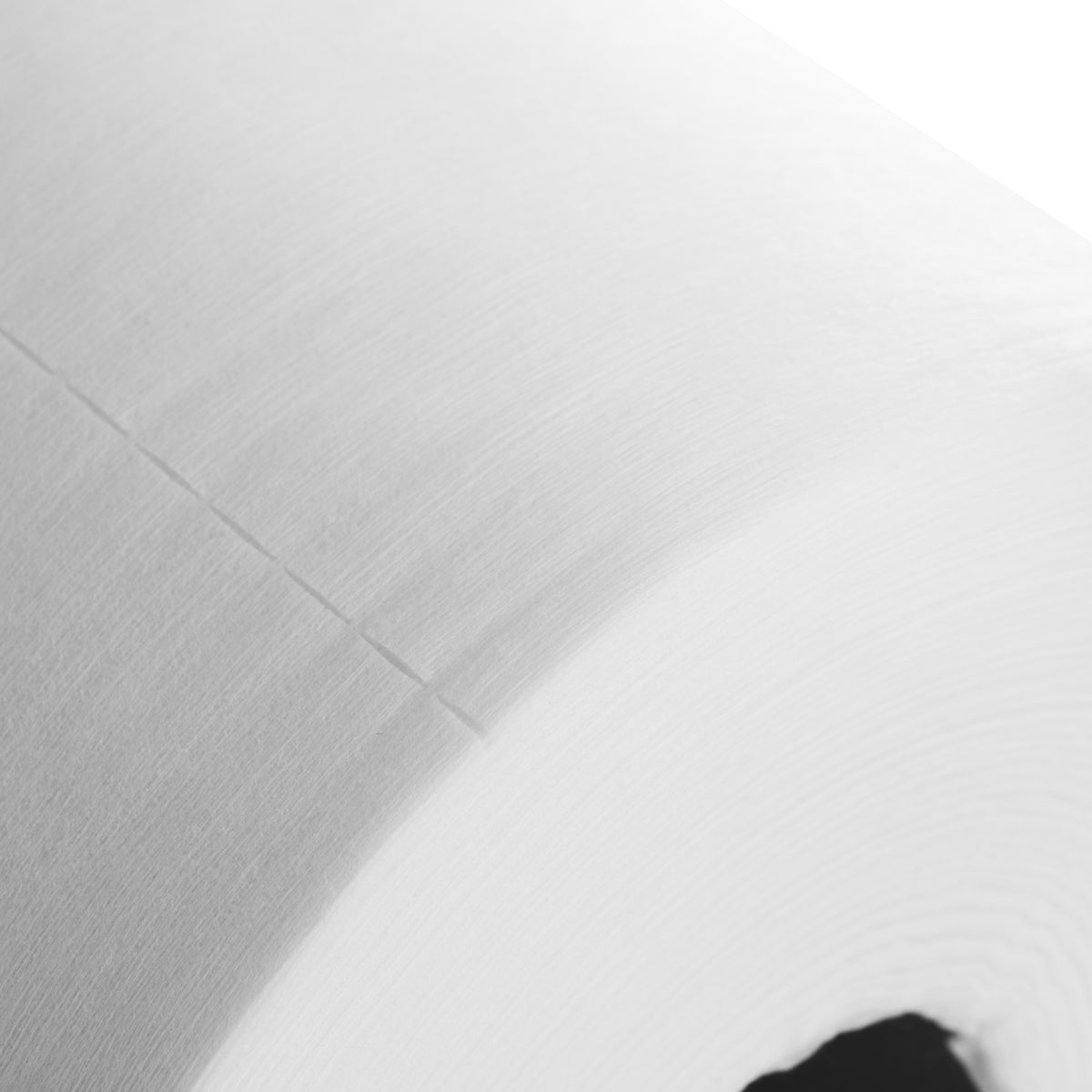 Disposable non-woven towels, roll 30 cm x 120 m, 100% viscose